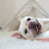 Fluffy Plush Dog Blanket Mat