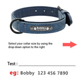 Personalized Dog Collars and Leash