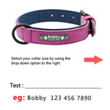 Personalized Dog Collars and Leash