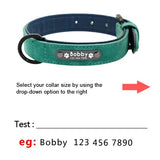 Personalized Dog Collars and Leash