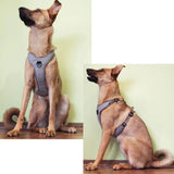 Padded Reflective Dog Harness