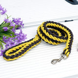Nylon Leash For Medium Large Dogs