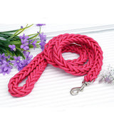 Nylon Leash For Medium Large Dogs