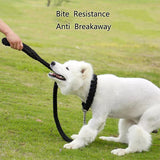 Nylon Leash For Medium Large Dogs