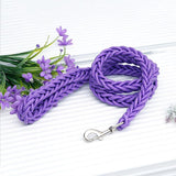 Nylon Leash For Medium Large Dogs