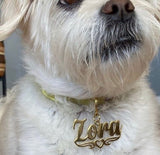 Stainless Personalized Pet Keychain