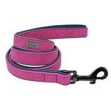 Personalized Dog Collars and Leash