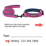 Personalized Dog Collars and Leash