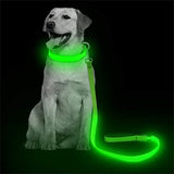 Led Glowing Leash Dog Collar