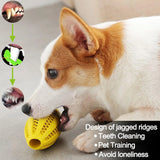 Dog Interactive Teeth Cleaning Ball