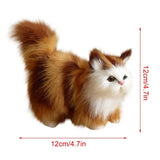 Stuffed Kitten Model