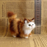 Stuffed Kitten Model