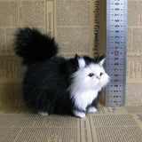 Stuffed Kitten Model
