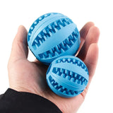 Dog Interactive Teeth Cleaning Ball