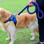 Nylon Leash For Medium Large Dogs