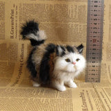 Stuffed Kitten Model
