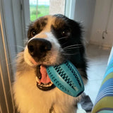 Dog Interactive Teeth Cleaning Ball