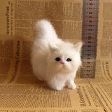 Stuffed Kitten Model