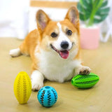 Dog Interactive Teeth Cleaning Ball