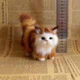 Stuffed Kitten Model
