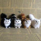 Stuffed Kitten Model