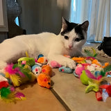 Cat Toys Mixed Pack-56 pcs