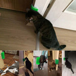Cat Wall Brush Corner Massage With Catnip