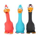 Screaming Chicken Toy Rubber Pig Duck Squeaky