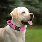 Personalized Military Tactical Dog Collar With Handle