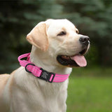 Personalized Military Tactical Dog Collar With Handle