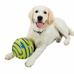 Interactive Dog Toy Ball