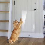 Cat Transparent Tape Furniture Guards