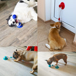 Dog Interactive Bite Toy