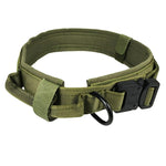 Tactical Large Dog Collar Personalized