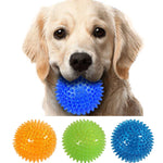 Dog  Cat Puppy Squeaky Tooth Cleaning Ball