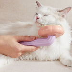 Self Cleaning Brush for Shedding Pet