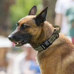 Personalized Tactical Dog Collar