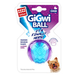 Dog Squeaky Toy Ball