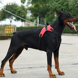 Dog Harness Vest Collar Leash