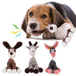 Dog Plush Animal Squeaky Toys