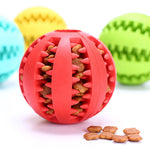 Interactive Rubber Food Ball