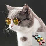 Pet Little Dog Cat Sunglasses