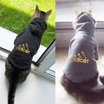 fashion cat cool clothes