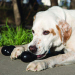 Durable Rubber Dog Bone for Power Chewers