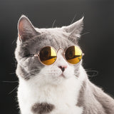Pet Little Dog Cat Sunglasses