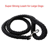 Nylon Leash For Medium Large Dogs