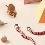 Cat Interactive Toy USB Chargeable